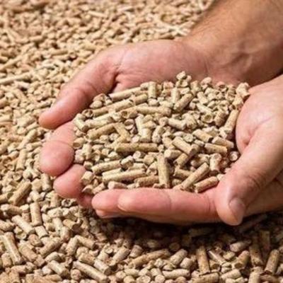 Pellet szemle